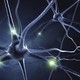 Células y Neuronas