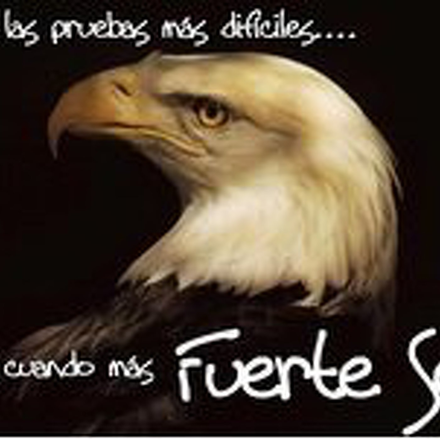 REFLEXIONES GLORIA A DIOS