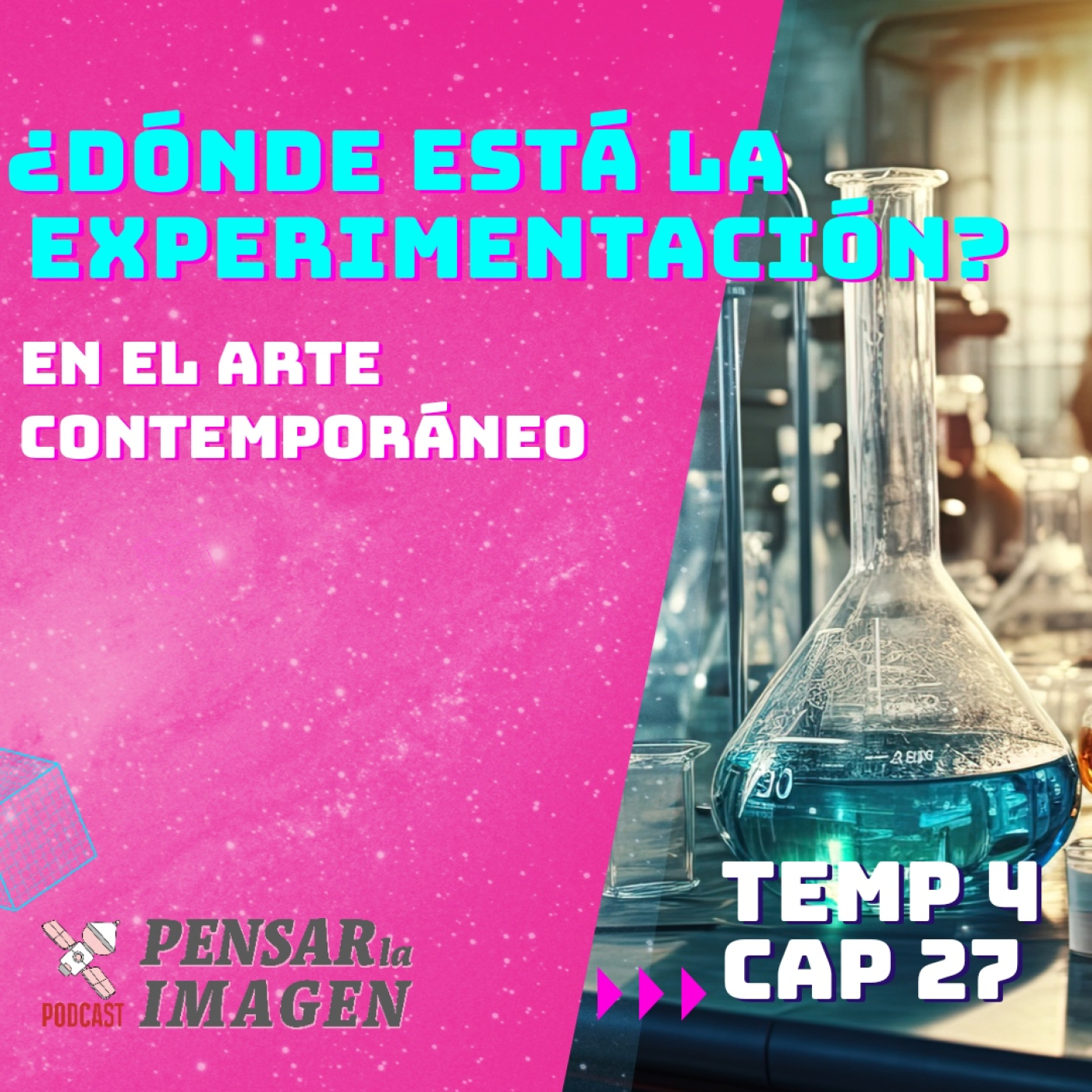 Pensar la imagen