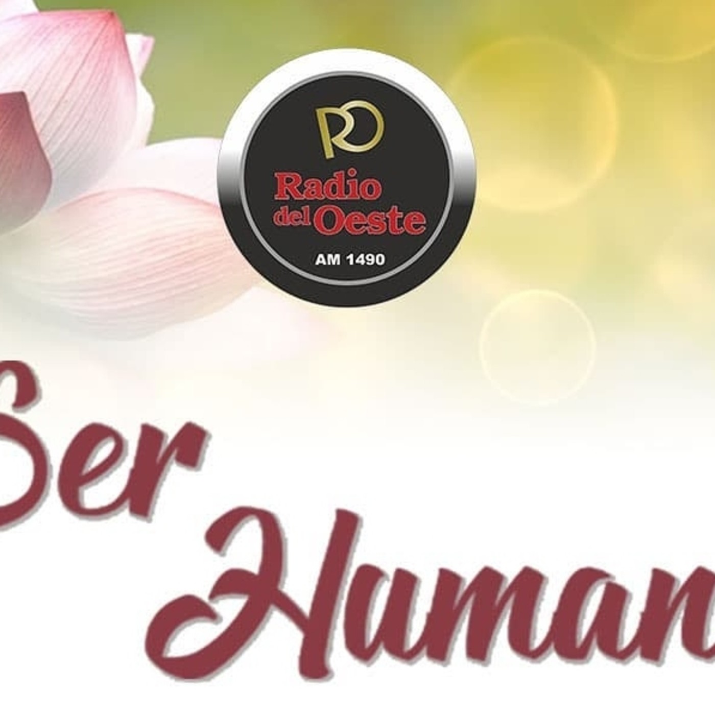 escueladereikiamanecer