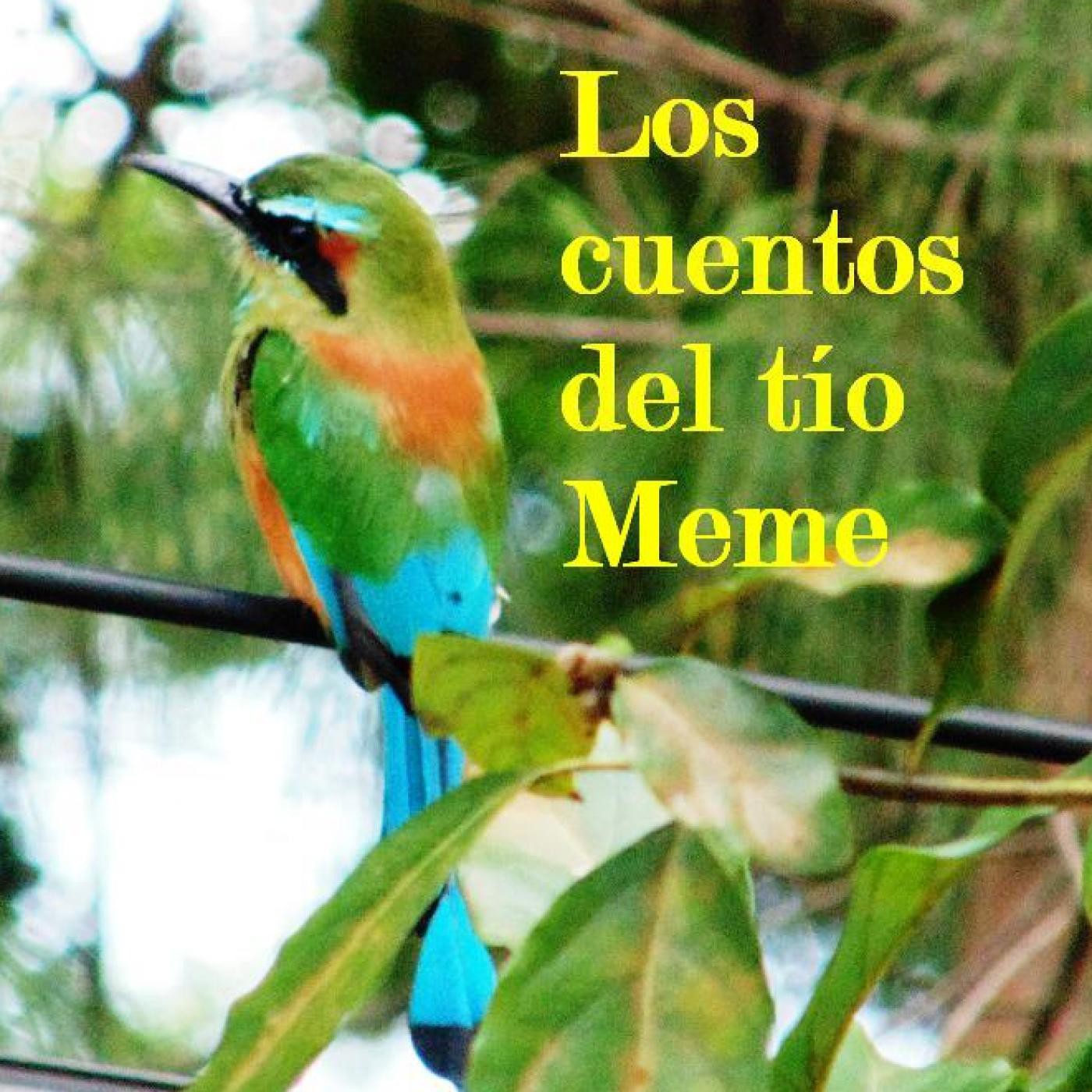 LOS CUENTOS DEL TÍO MEME