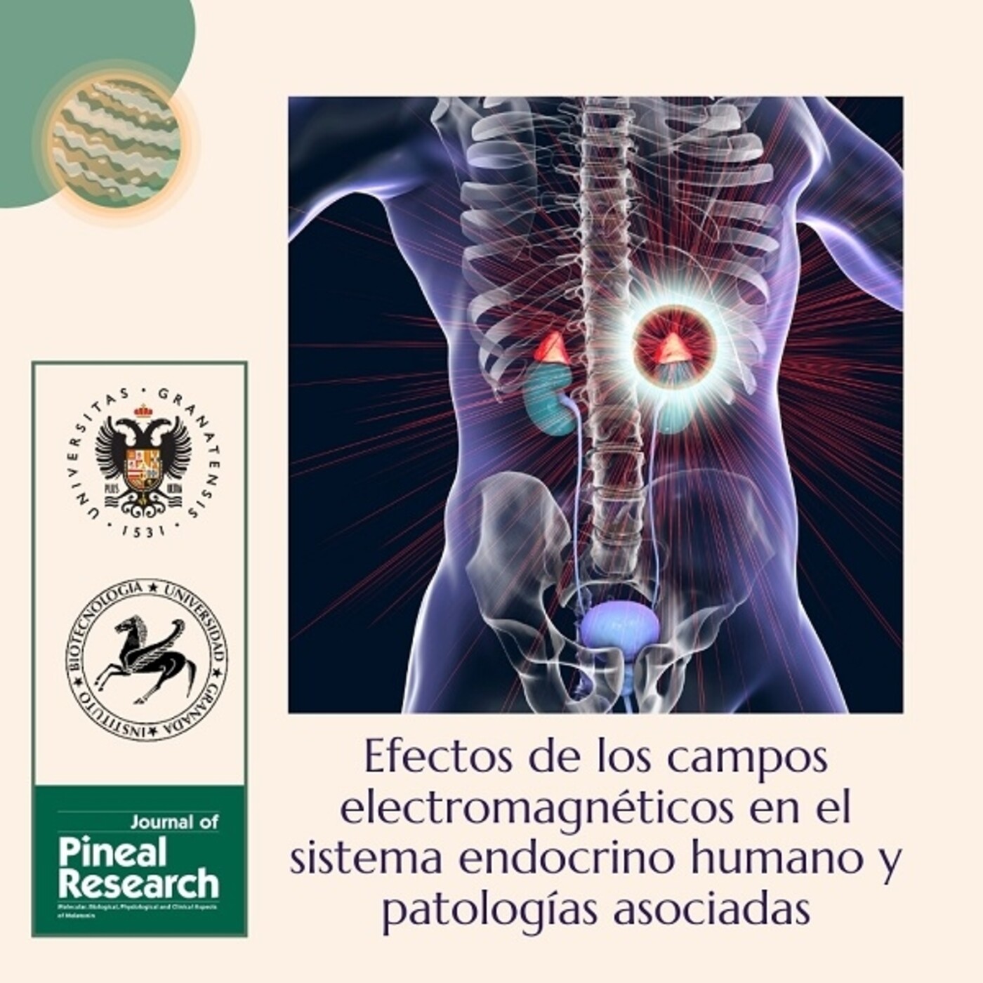 Campos Electromagnéticos y daños a la Salud (PARTE I)