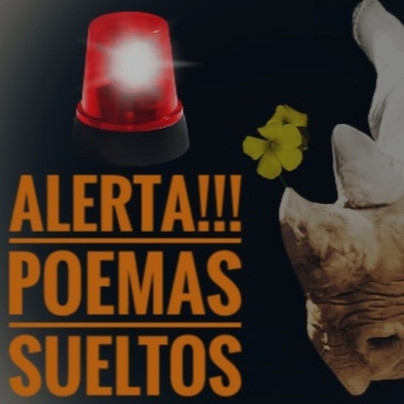 FLORES PARA ERNEST