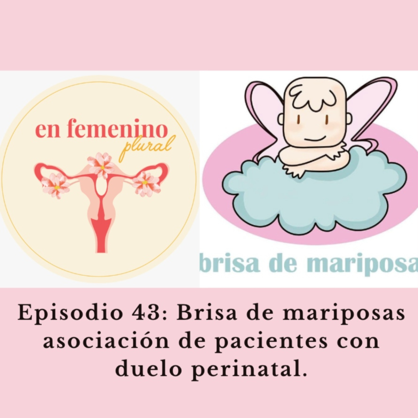 EN FEMENINO PLURAL