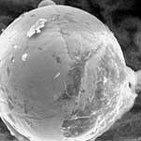¿Hallan vida extraterrestre en la estratosfera?