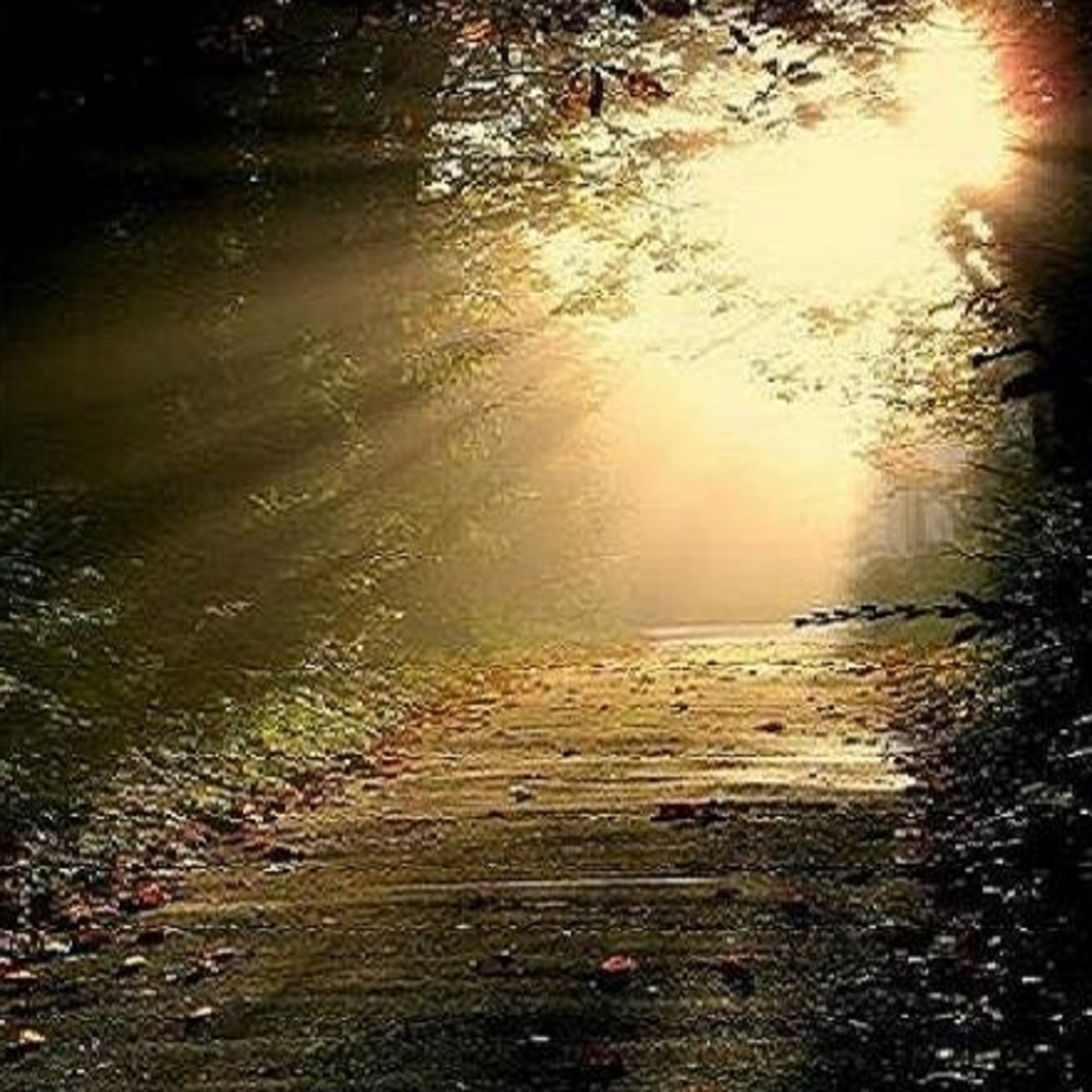 Podcast Reflexiones de Luz y Amor