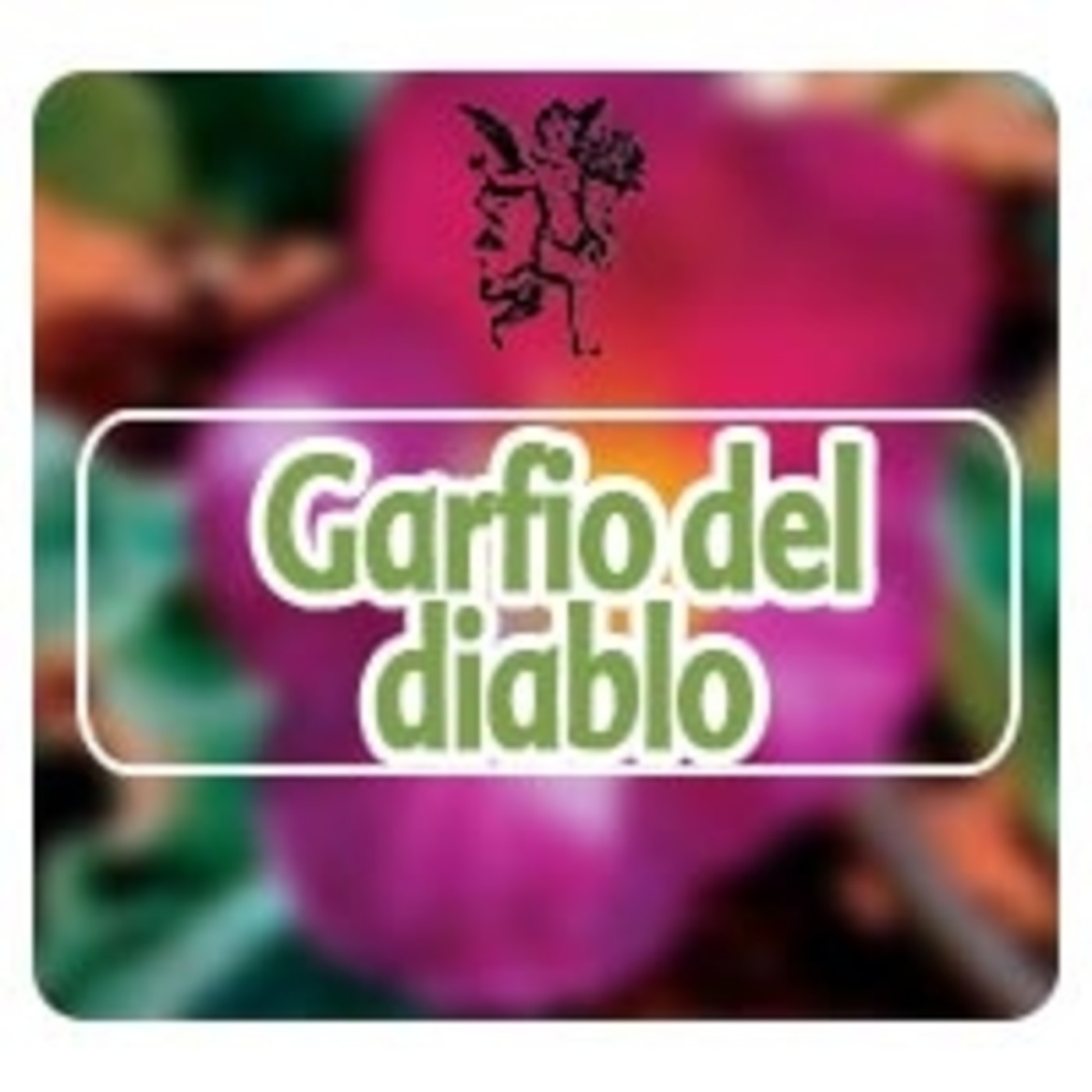El Ángel de tu Salud - GARFIO DEL DIABLO* episode artwork