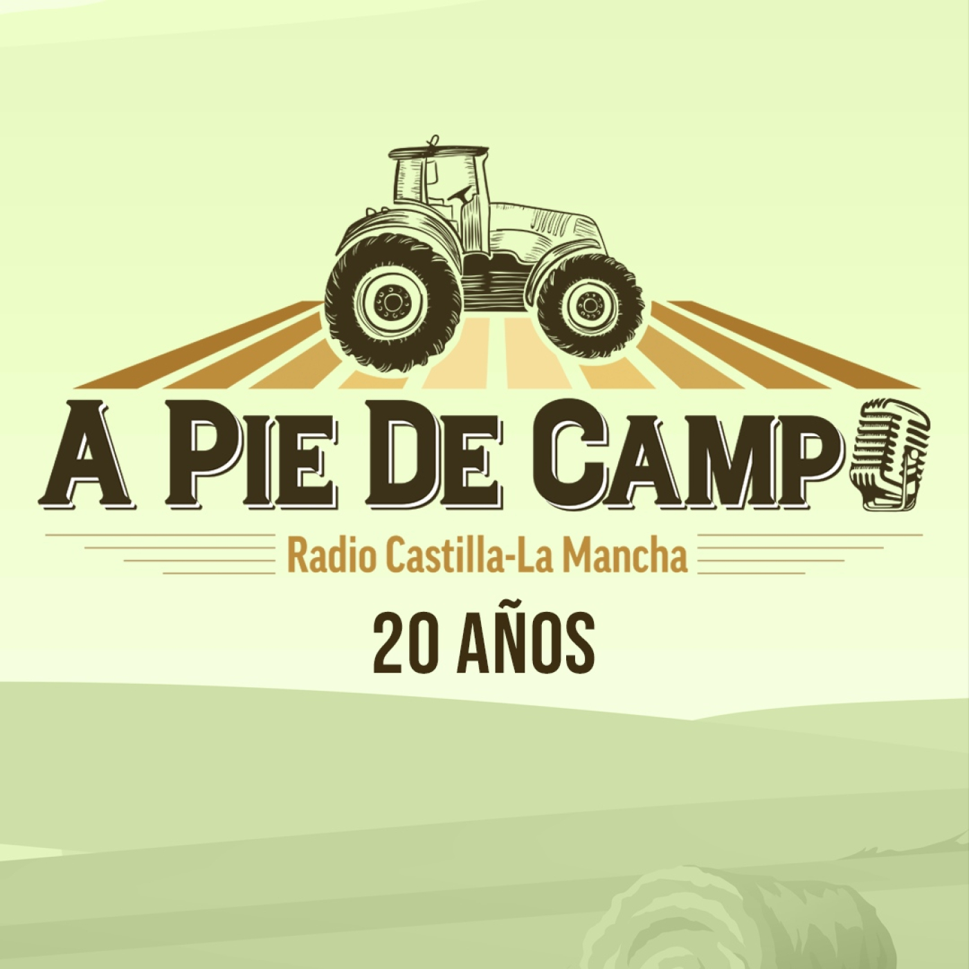 Especial 20 Aniversario A Pie de Campo episode artwork