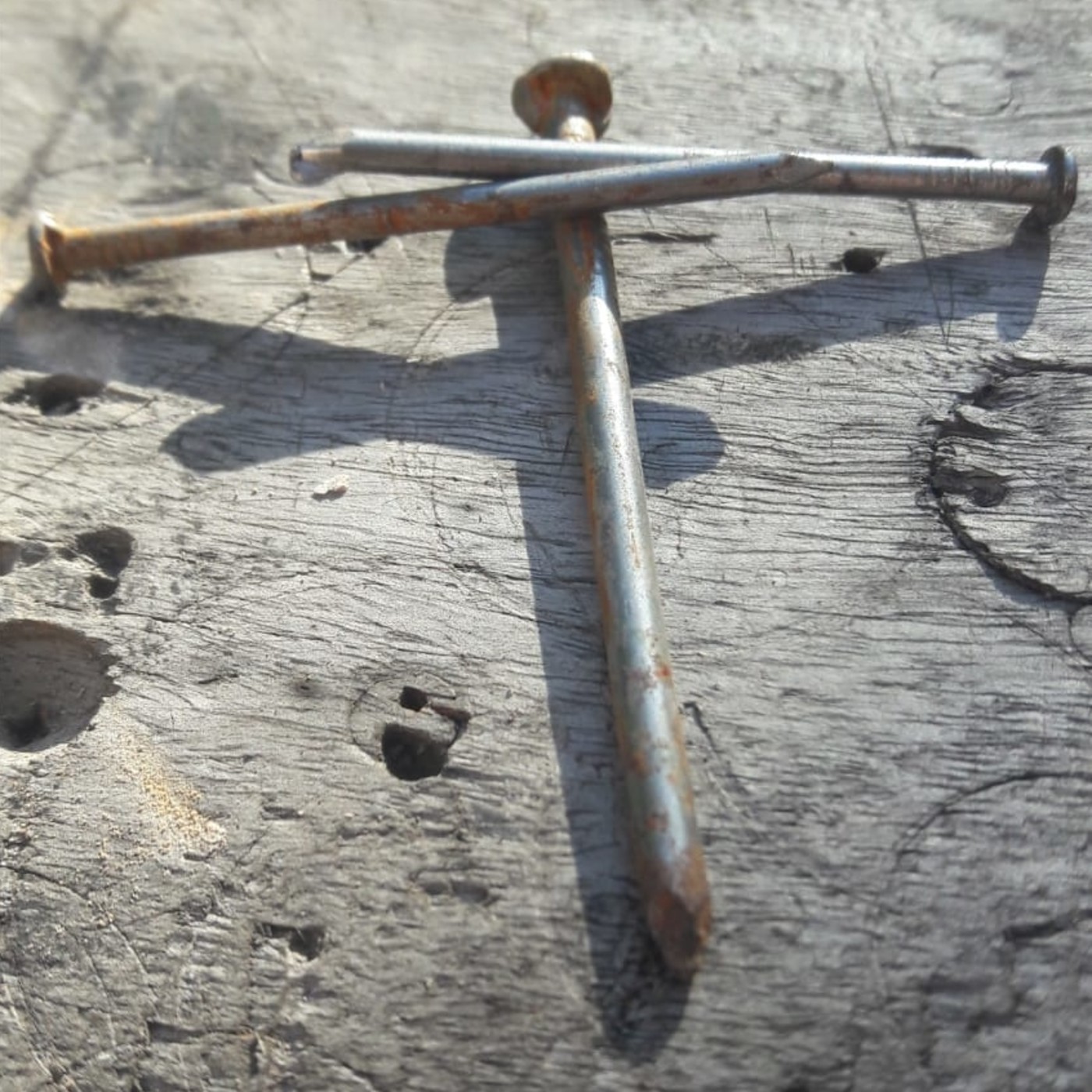 Primera Iglesia Bautista de Haedo