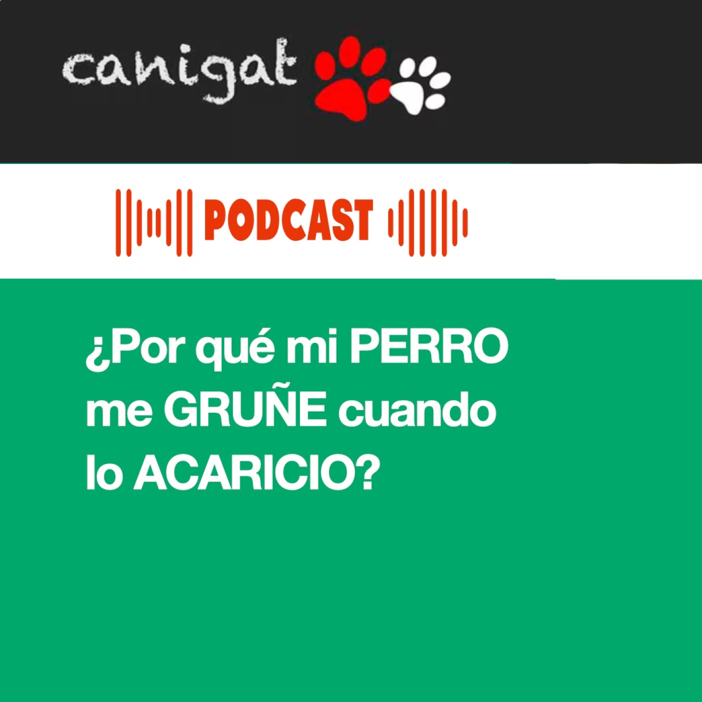 Consejos veterinarios de perros y gatos by canigat
