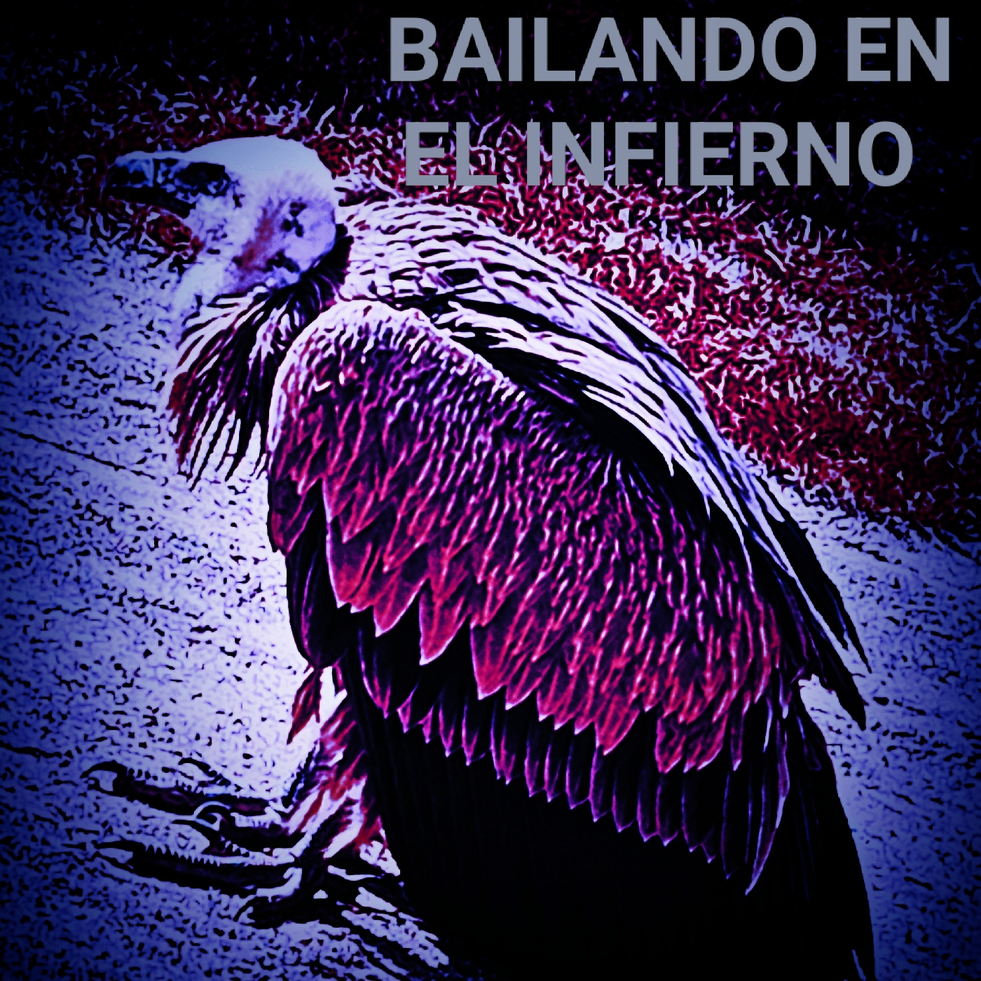 Noches En la Hoguera