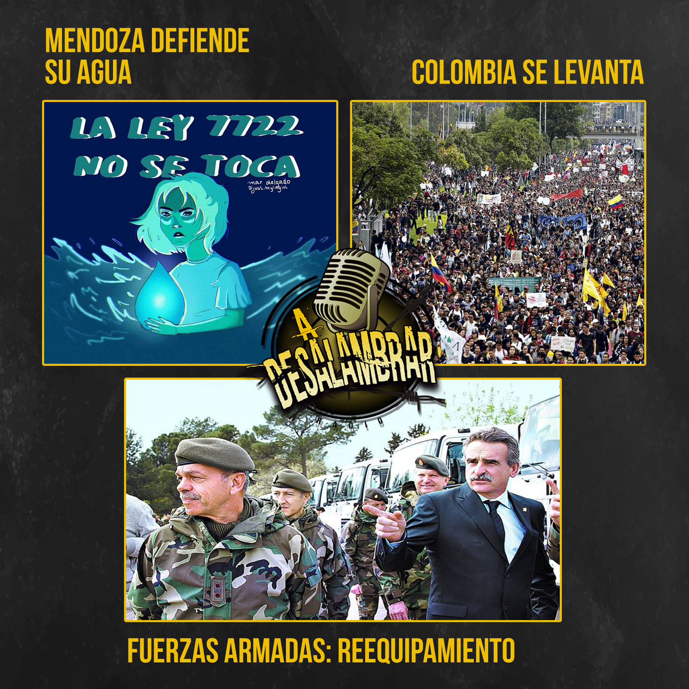 A Desalambrar