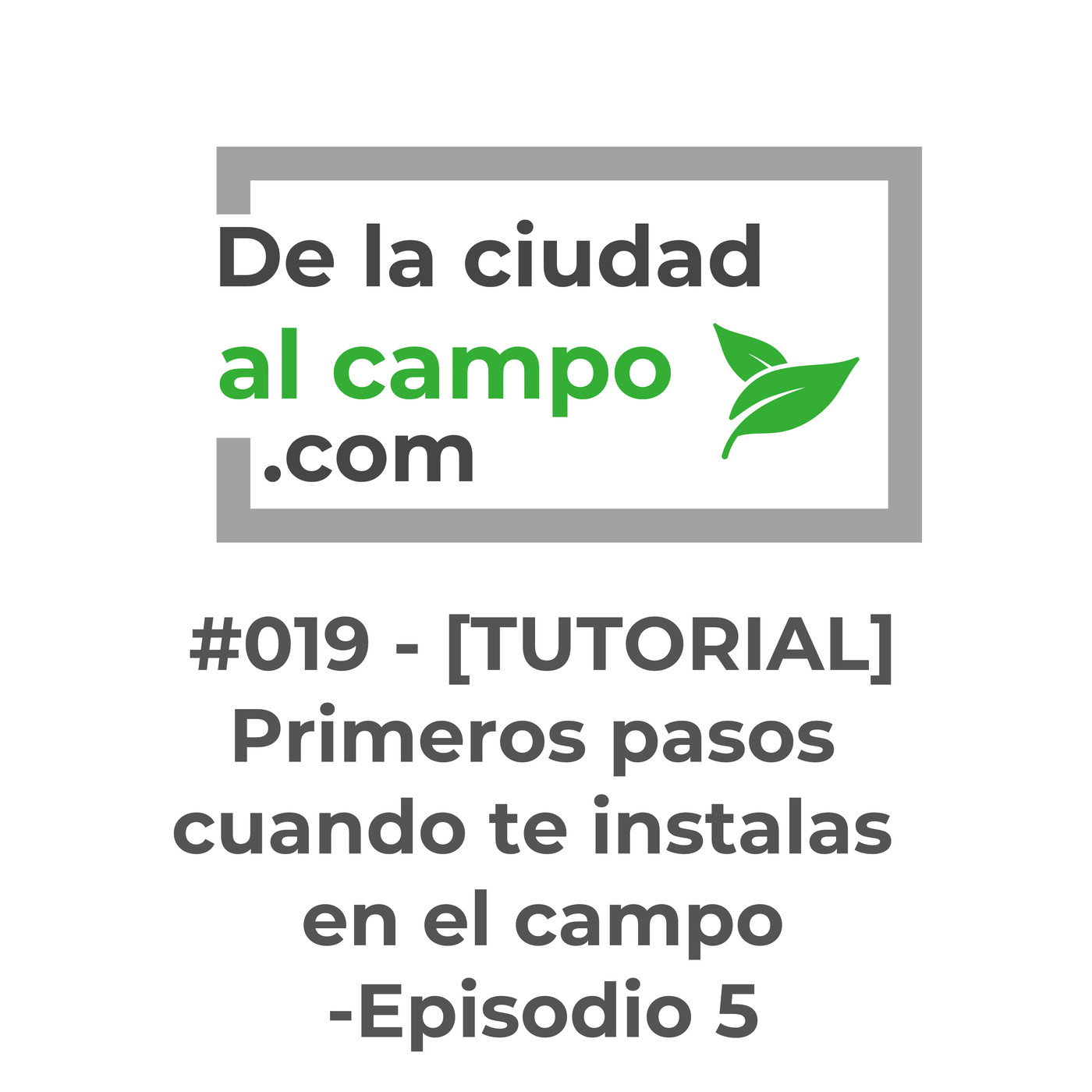 De la ciudad al campo