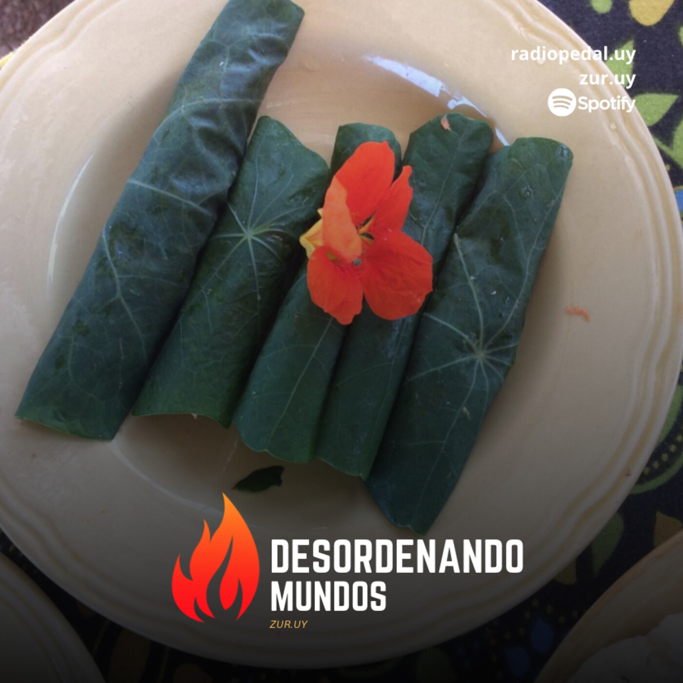 Desordenando Mundos