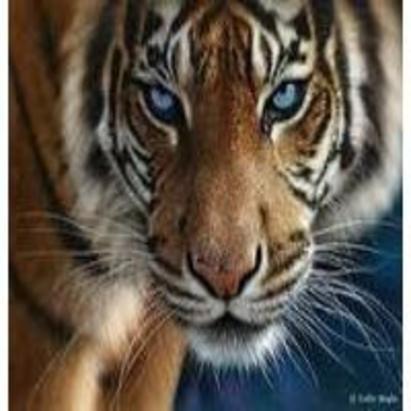 Historia Animal