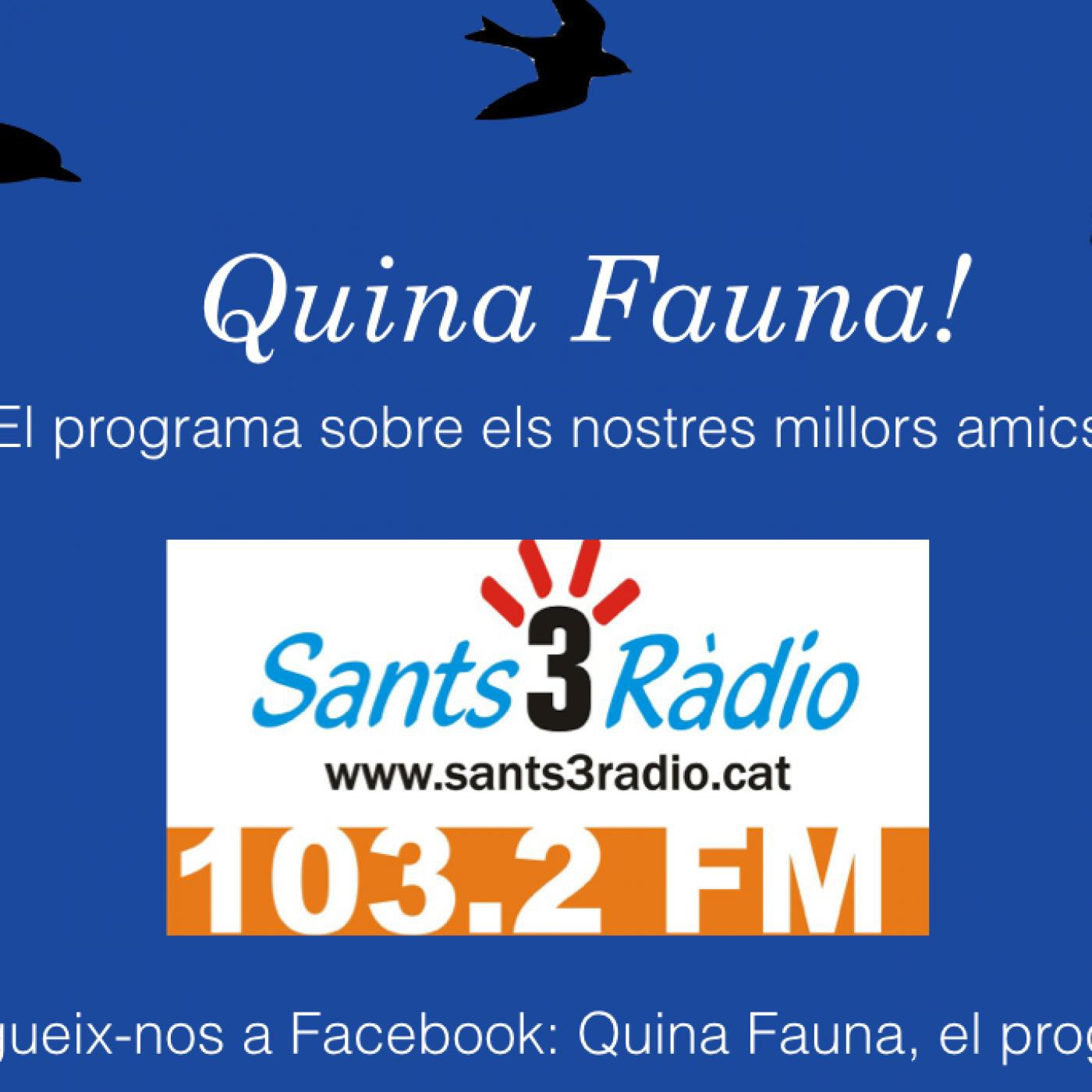 Quina Fauna