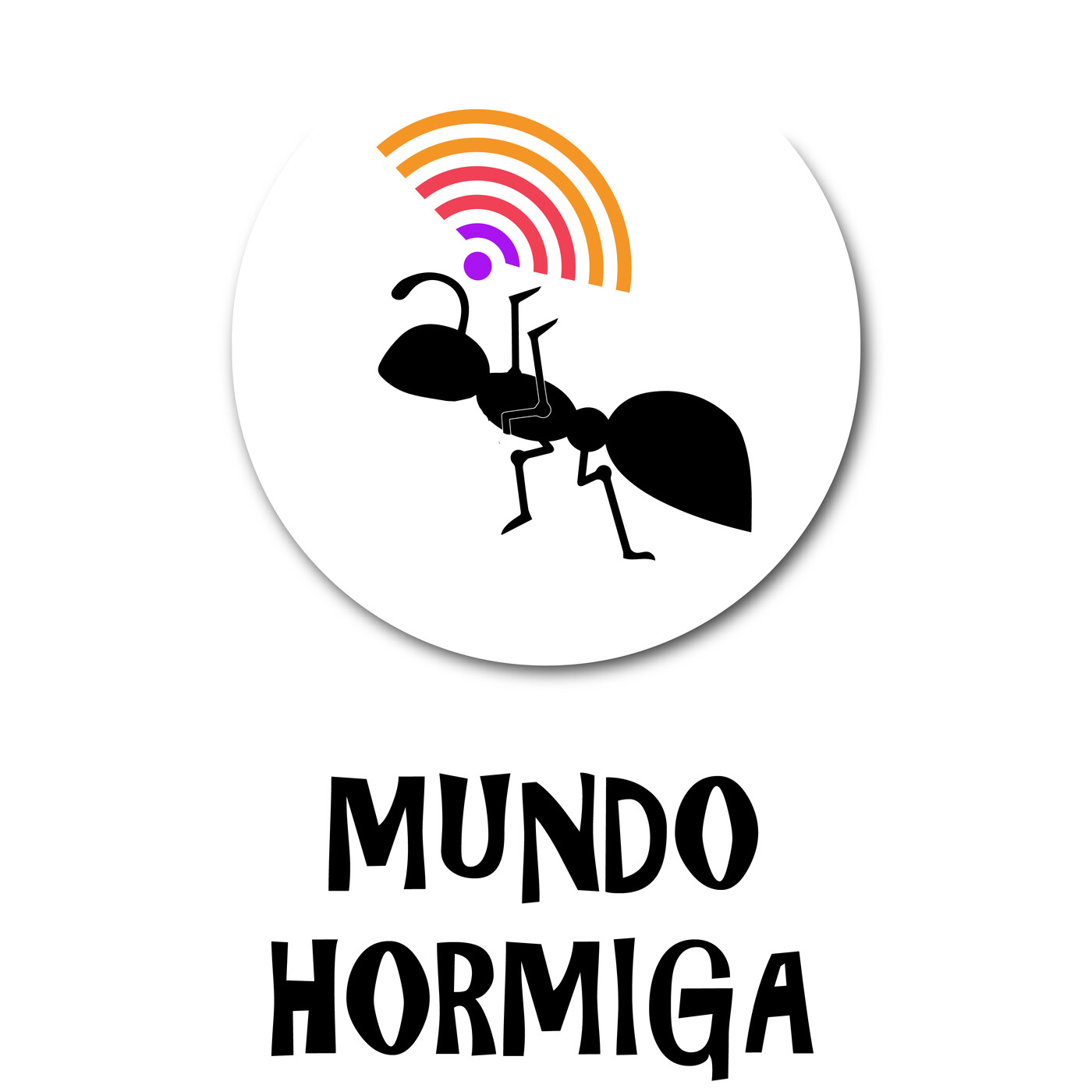 Laboratorio de Noticias de la Economía Popular – 13 de diciembre de 2020 episode artwork