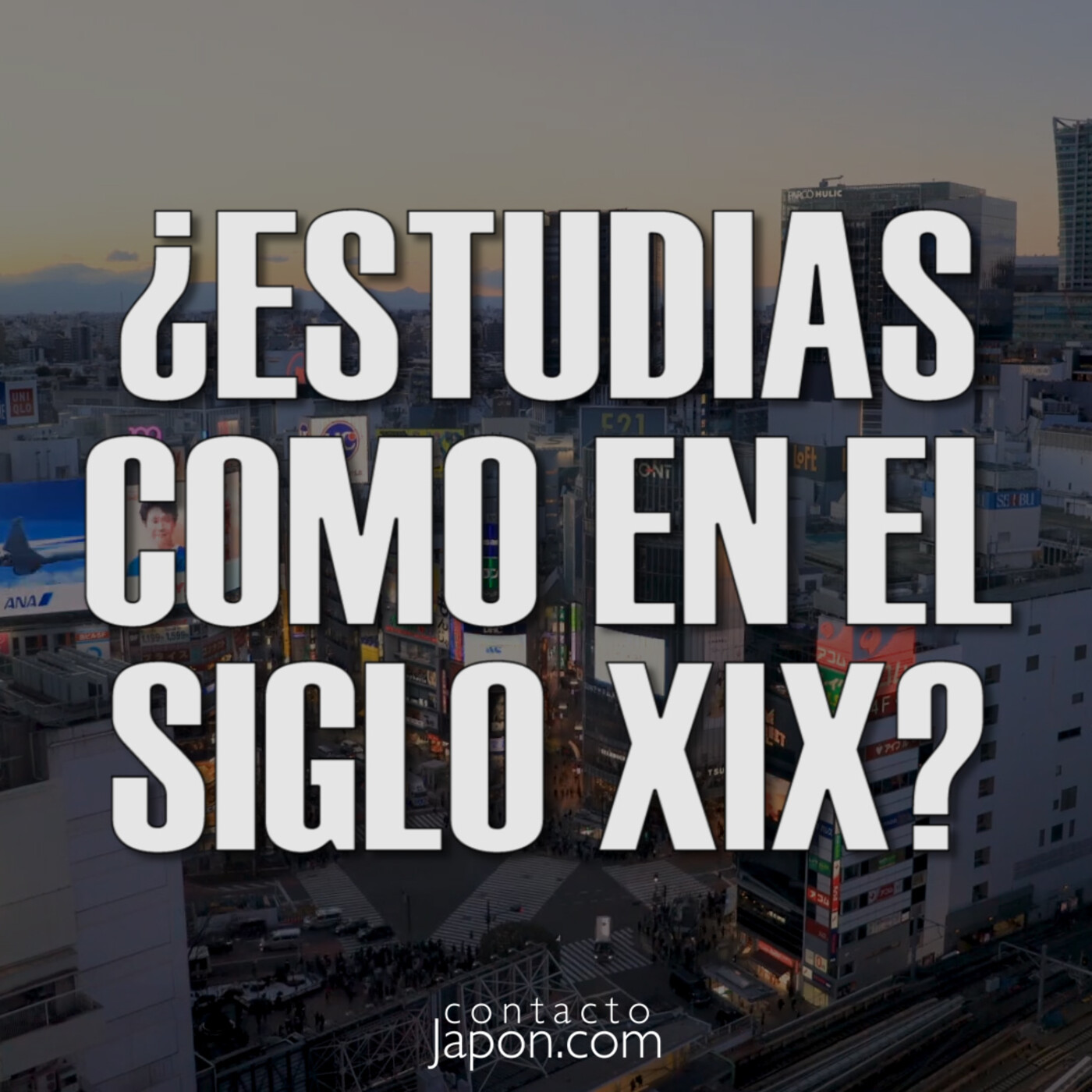 Contactojapon.com