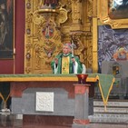 embed image