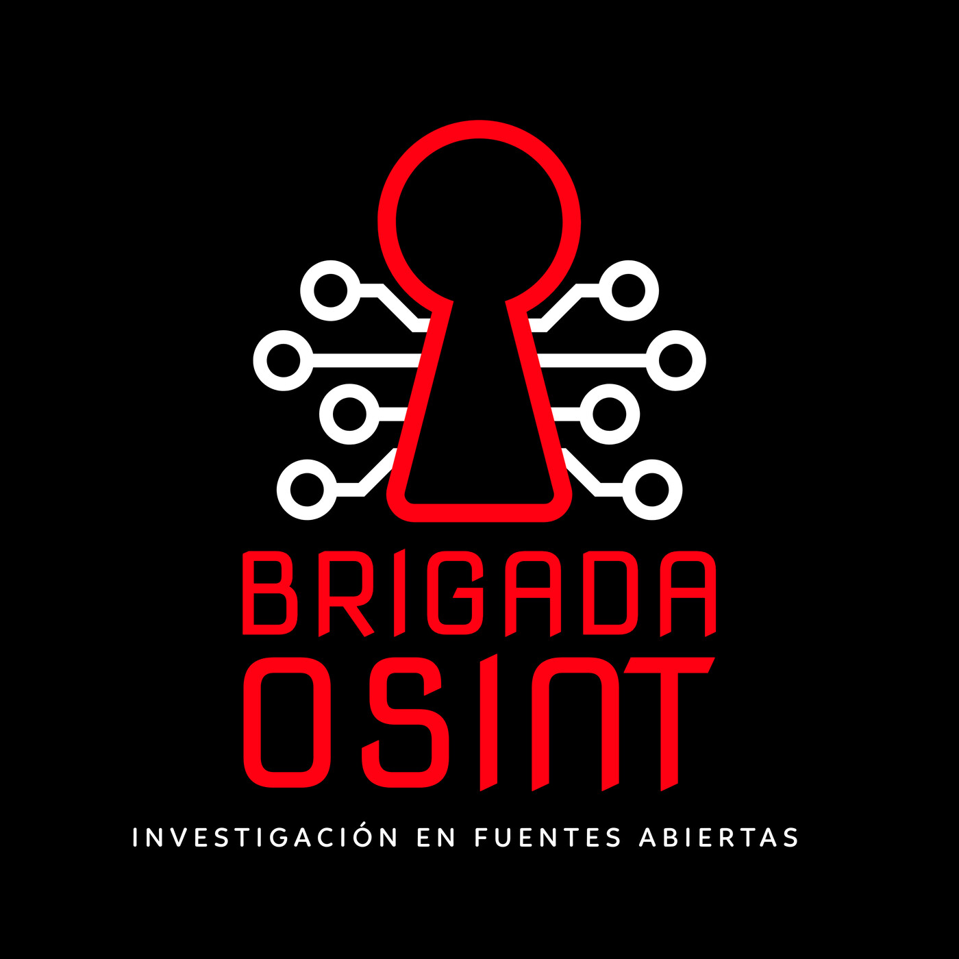 Brigada Osint