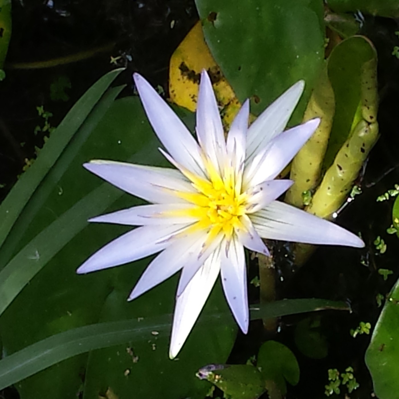 Nuestra Mente es Maravillosa