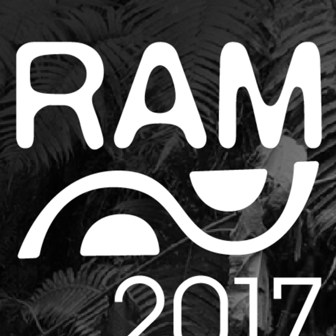 RAM 2017