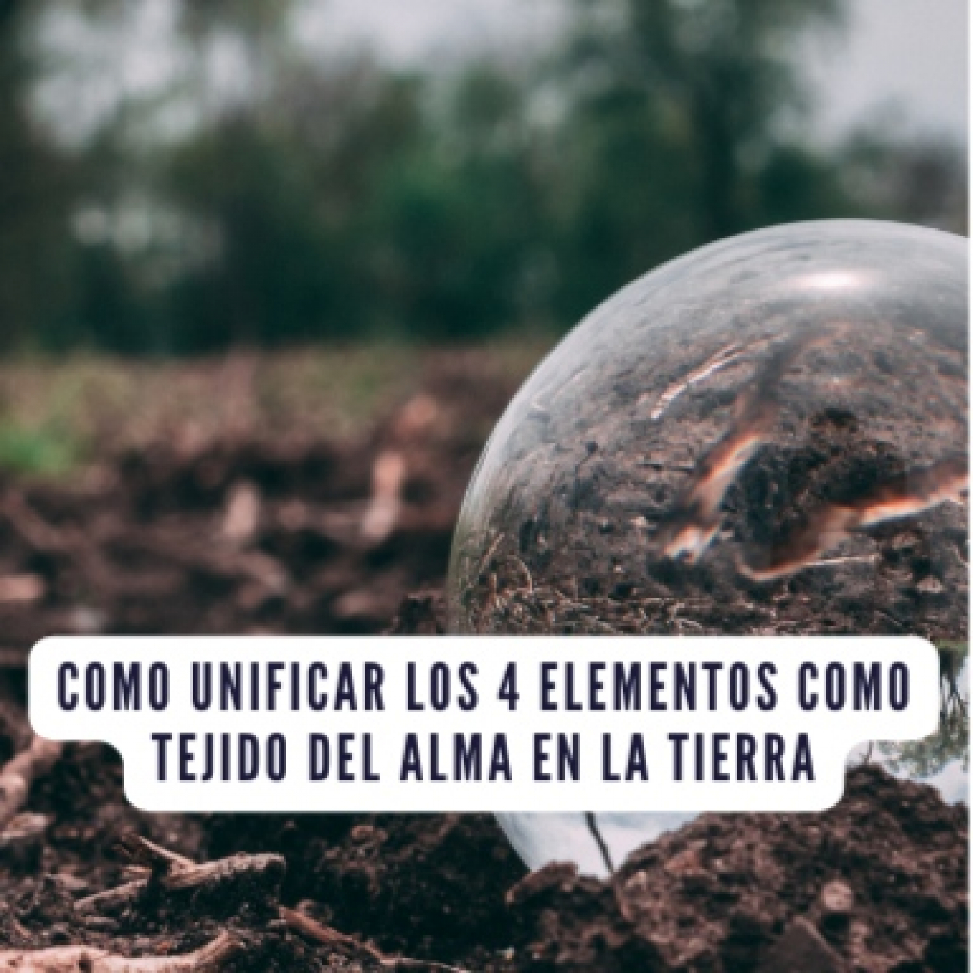 Sergio Amado