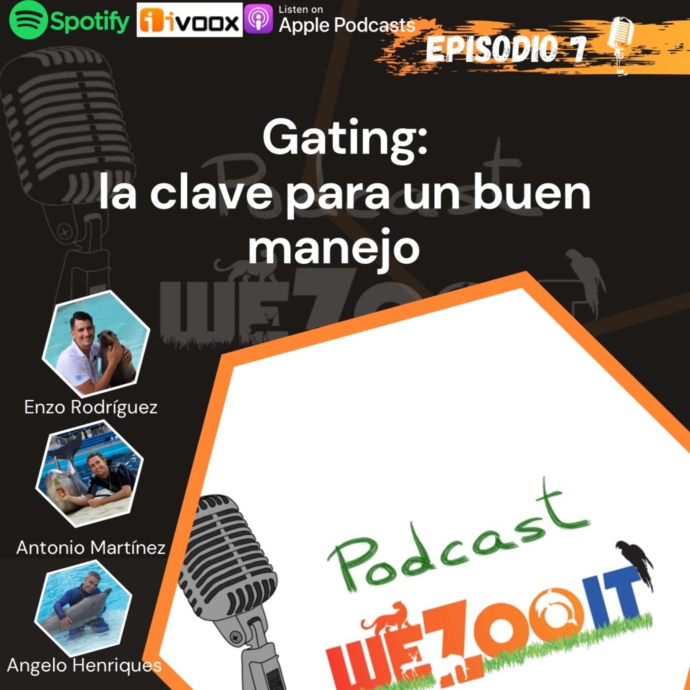 WeZooit Podcast