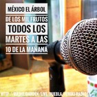 México el árbol de los mil frutos: No soy Heterosexual Parte 1