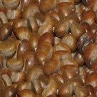 Lomo de ciervo con castañas
