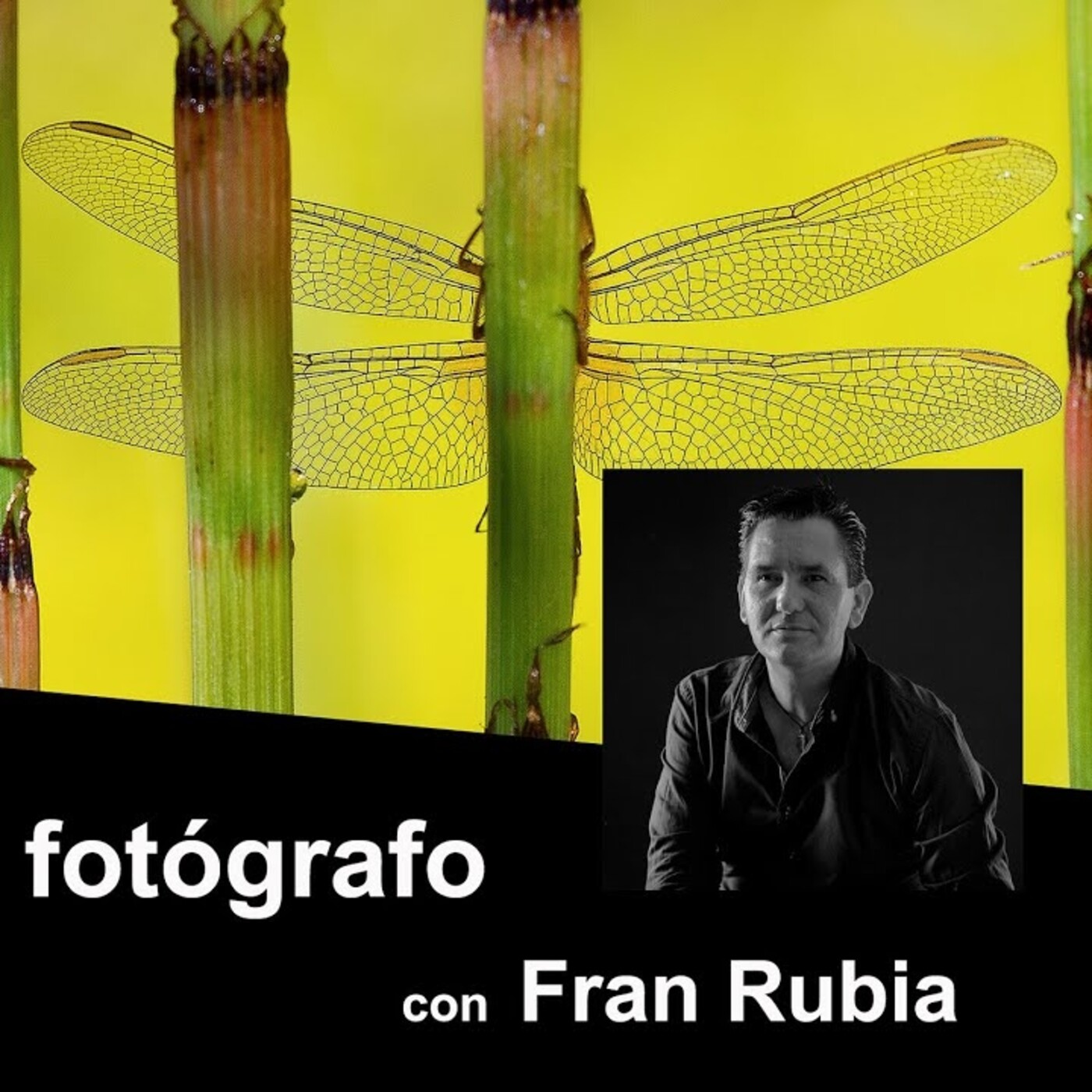 Frente al fotógrafo