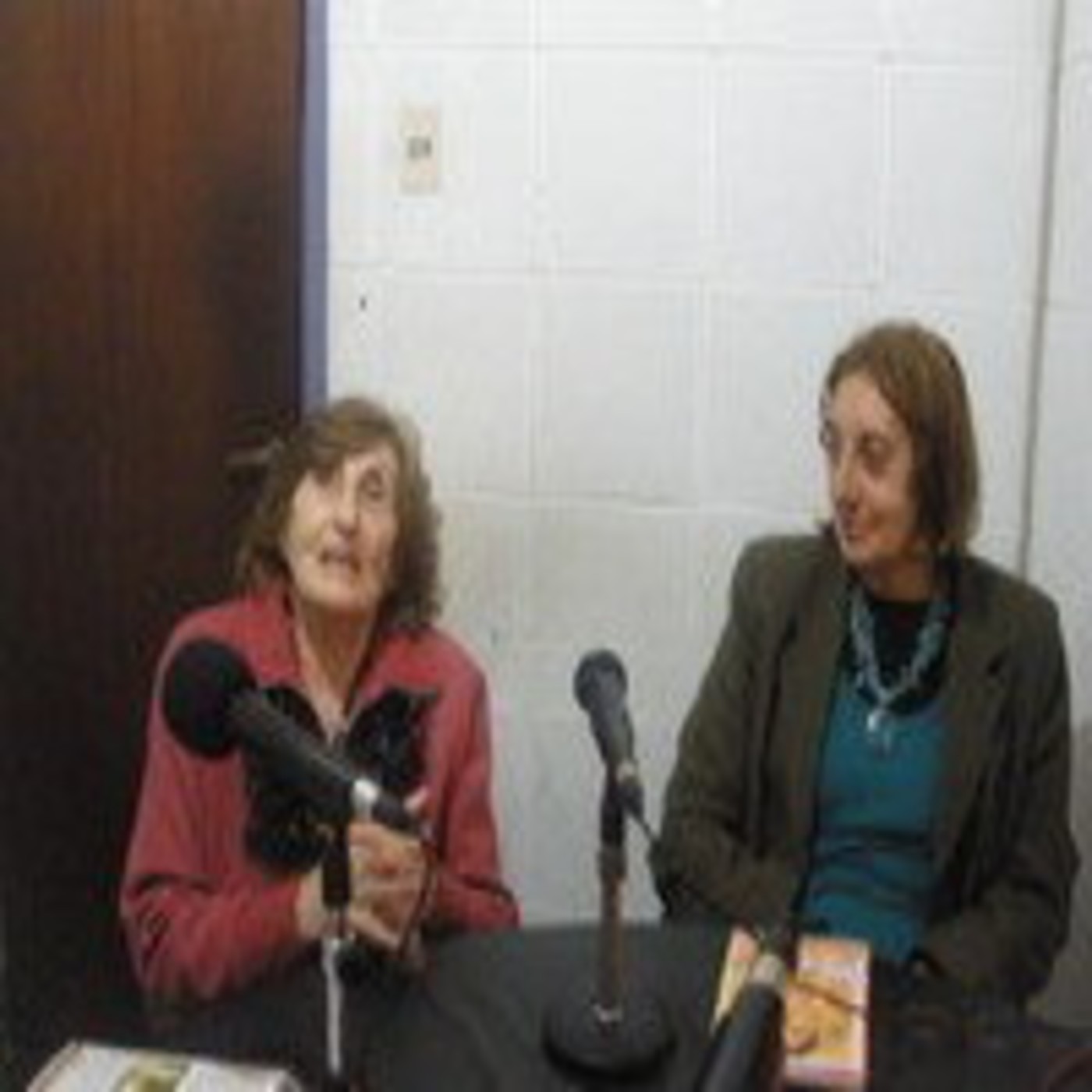 Montevideo y 11-Nº 259-Bloque 2-El programa de radio de la Escuela de Arte de Berisso episode artwork