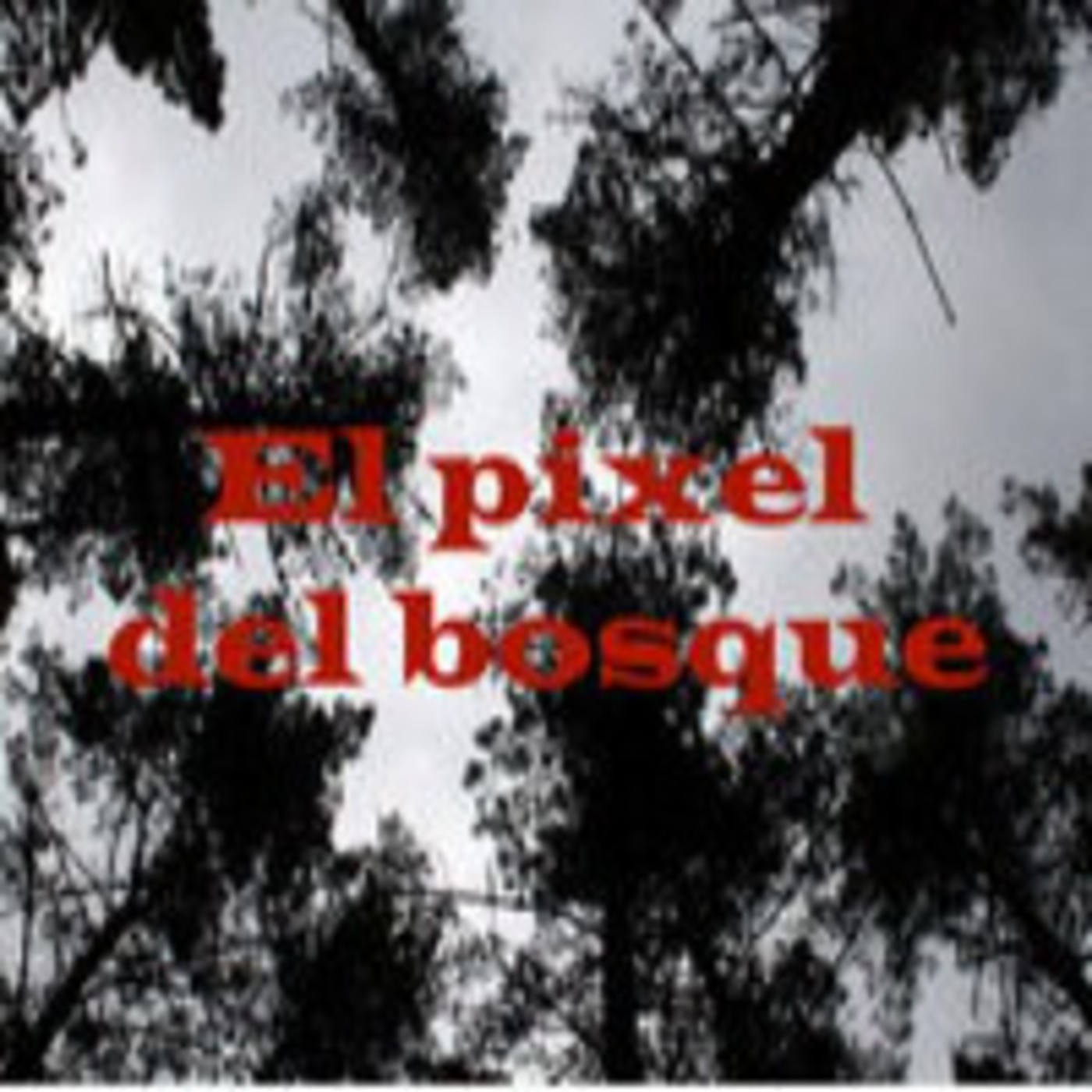El Pixel del Bosque