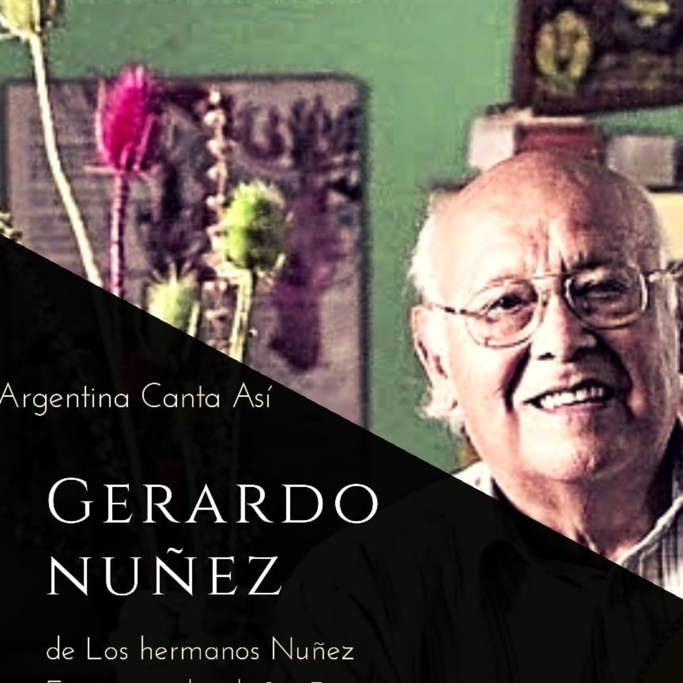 Argentina Canta Así
