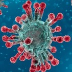 Microdoc-alerta coronavirus