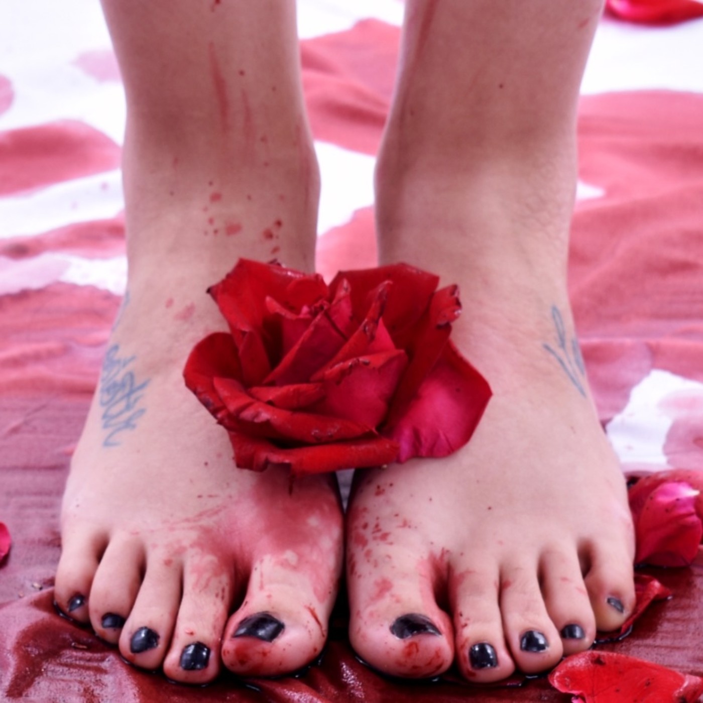 Reggae, Yoga y Sustentabilidad