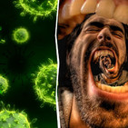 La conspiracion detras de las enfermedades virales y bacterianas (29 de abril de 2019).