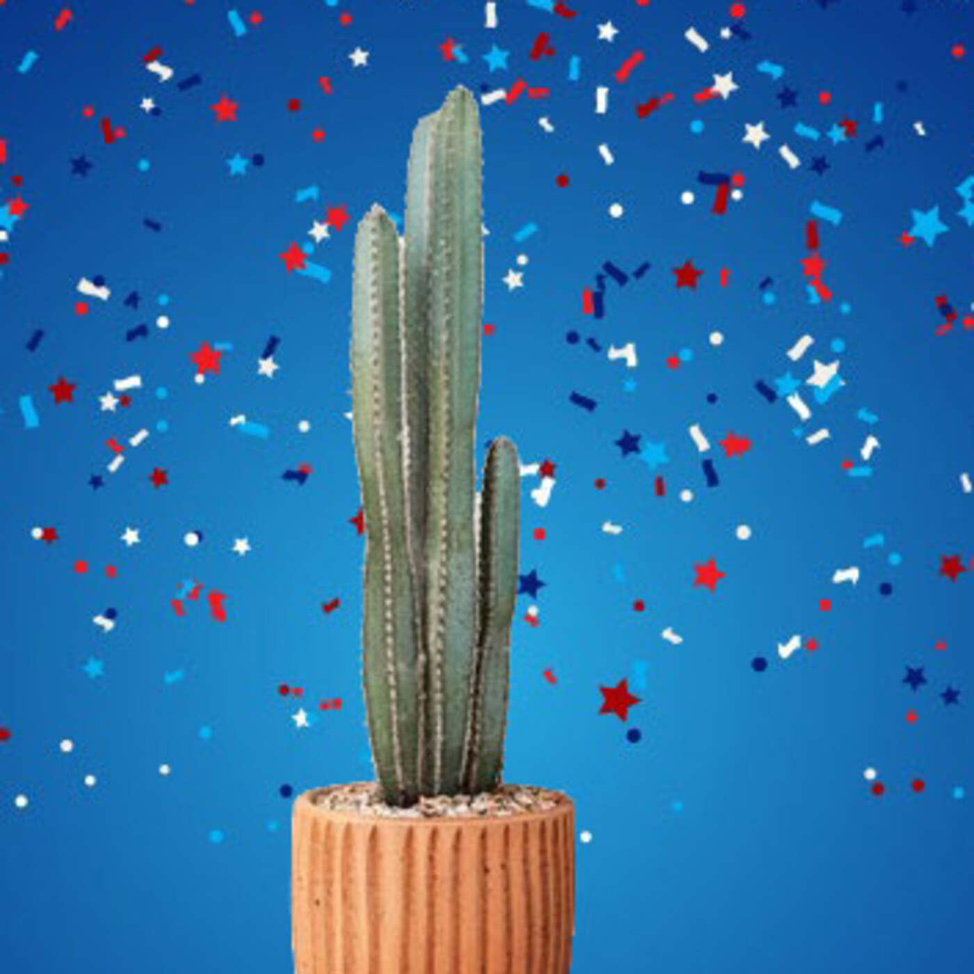 Cactus Confetti