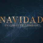 embed image