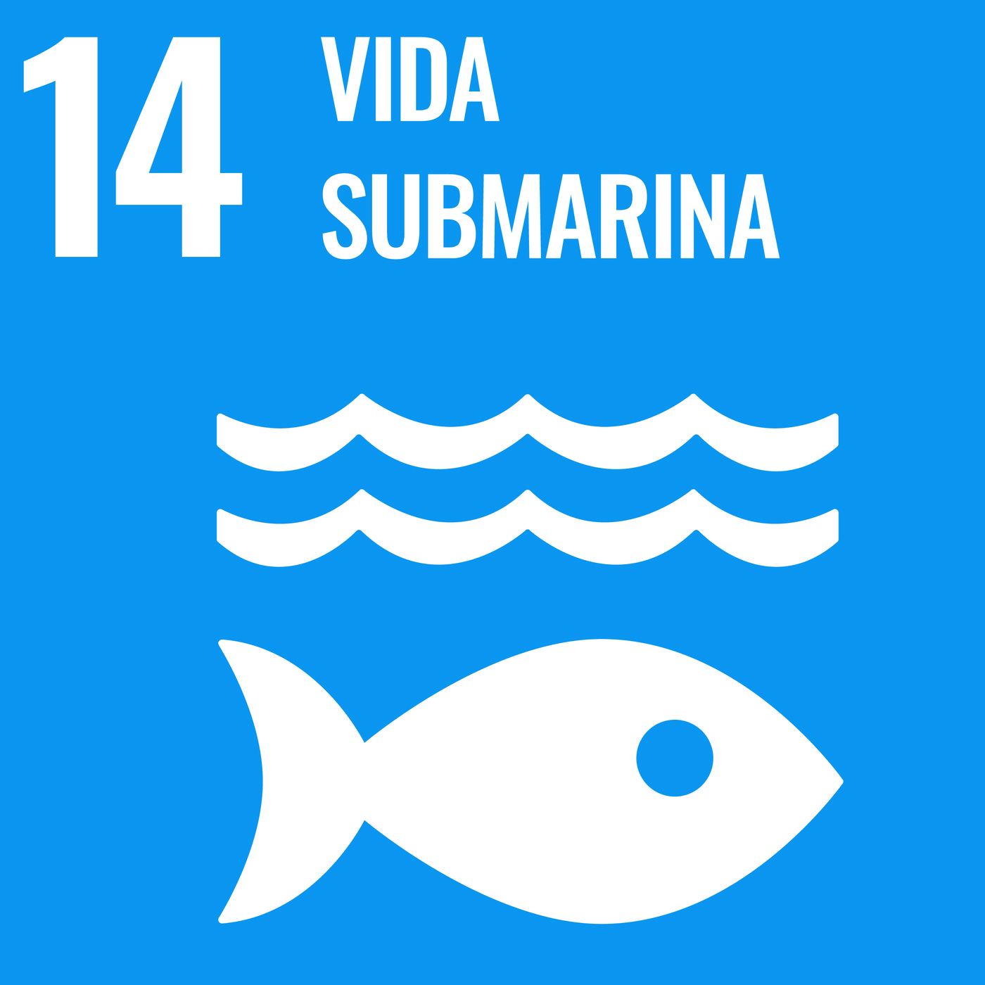 ¡SOS, ODS! 19/20