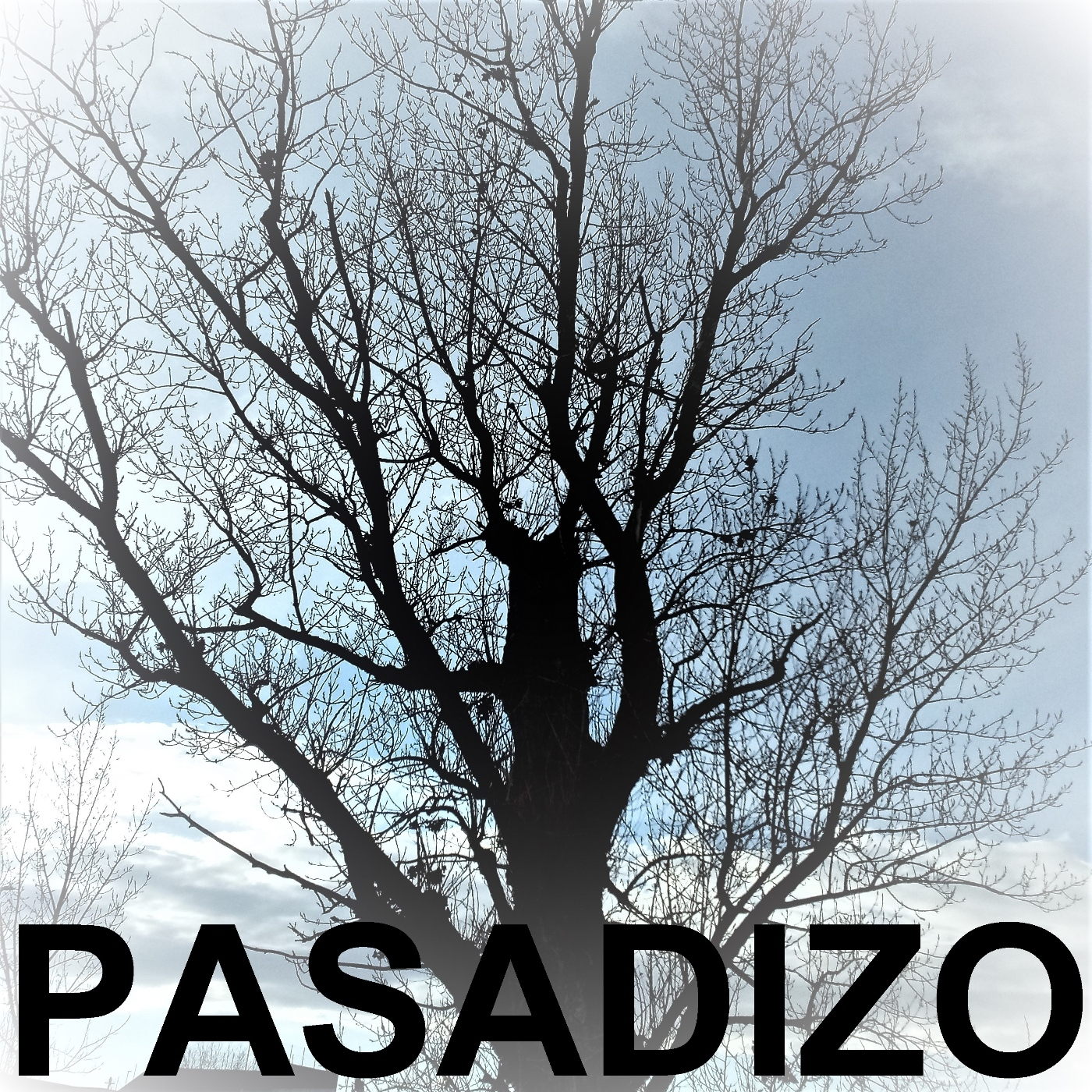 PASADIZO