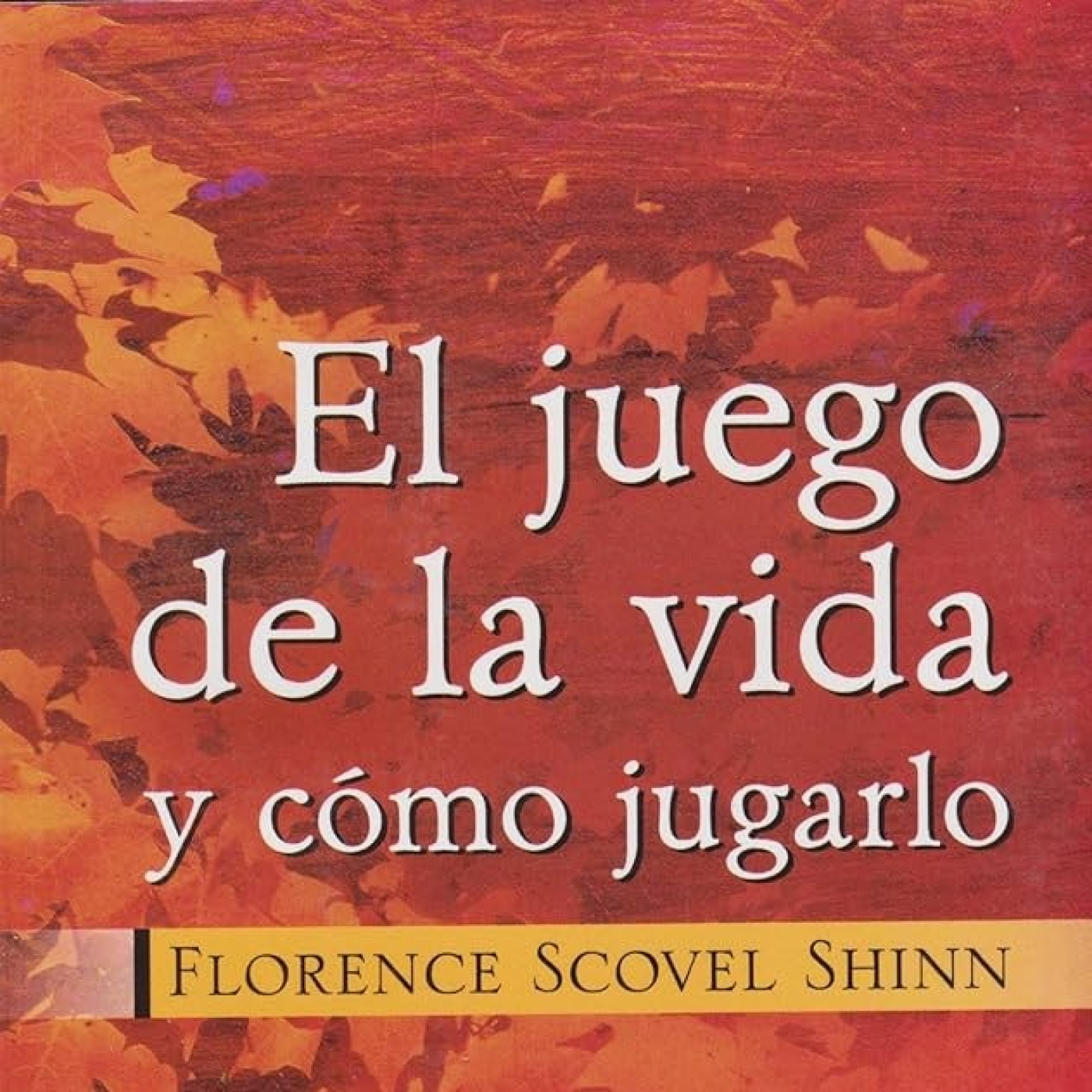 Salvador Mingo -Conocimiento Experto-