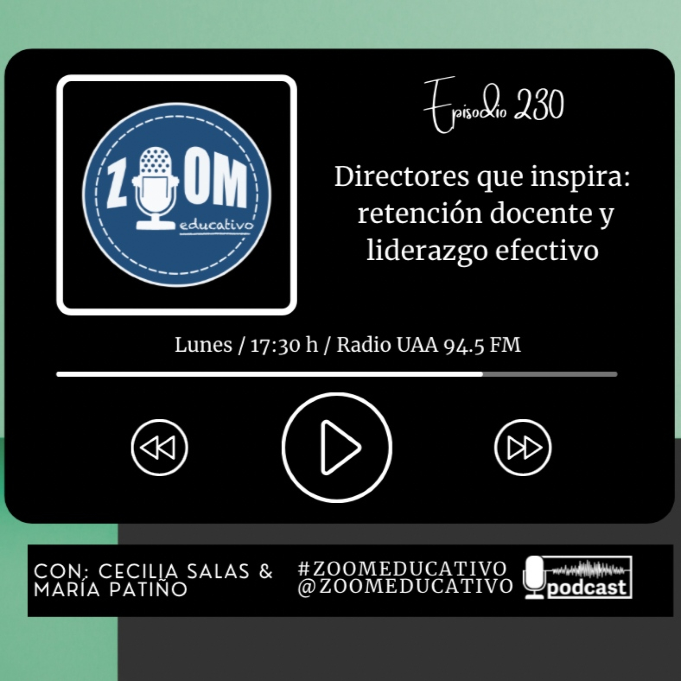 Zoom Educativo