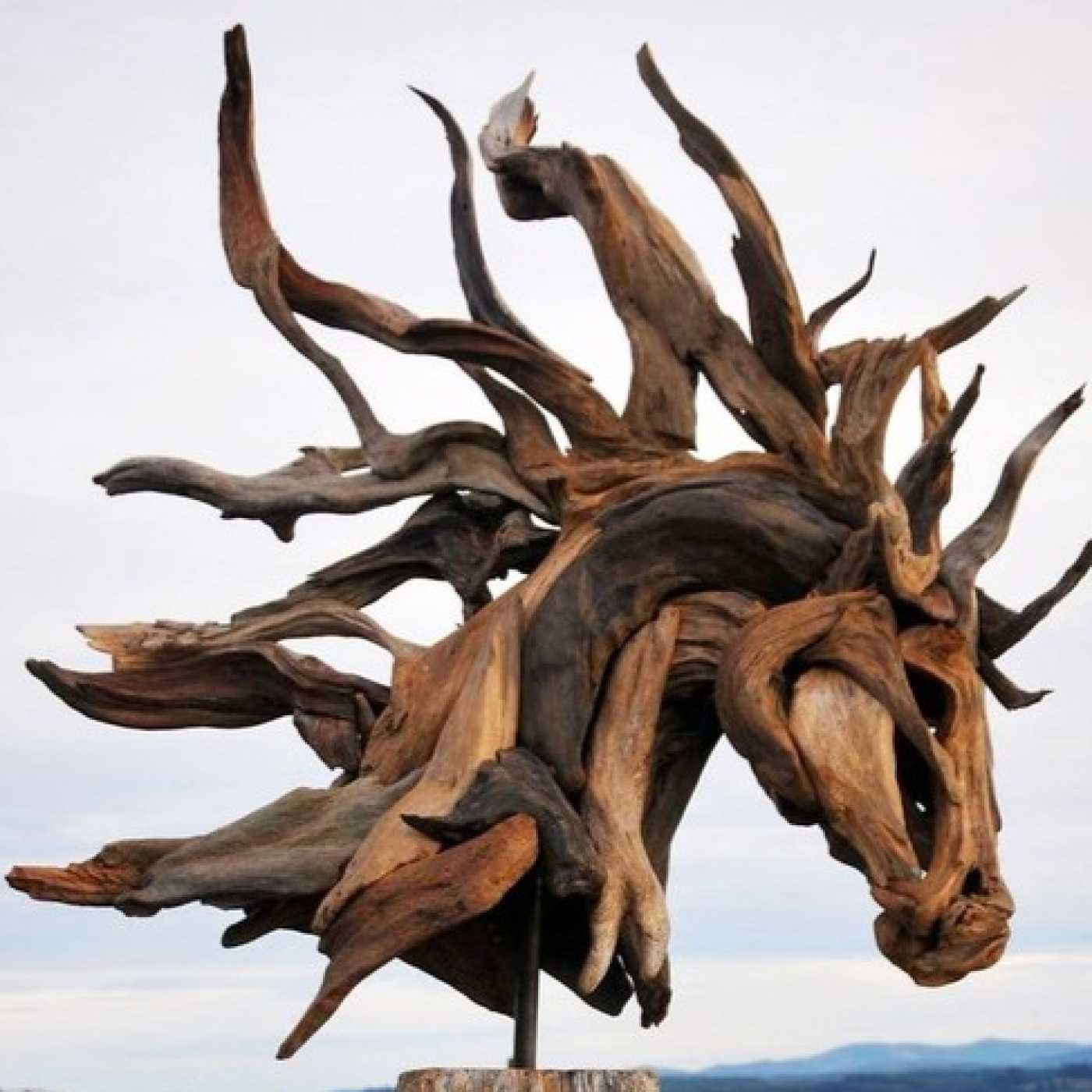 Entre el Arte y el Criterio del driftwood episode artwork
