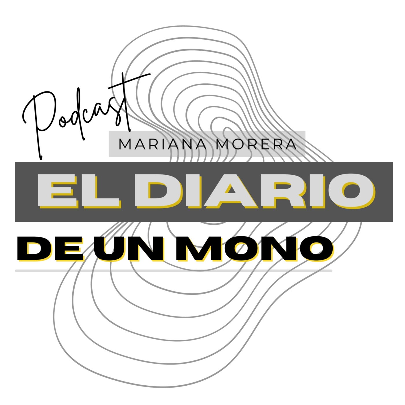 El Diario de un artista