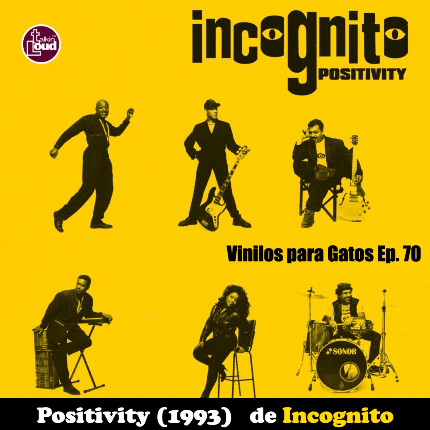 Música para Gatos