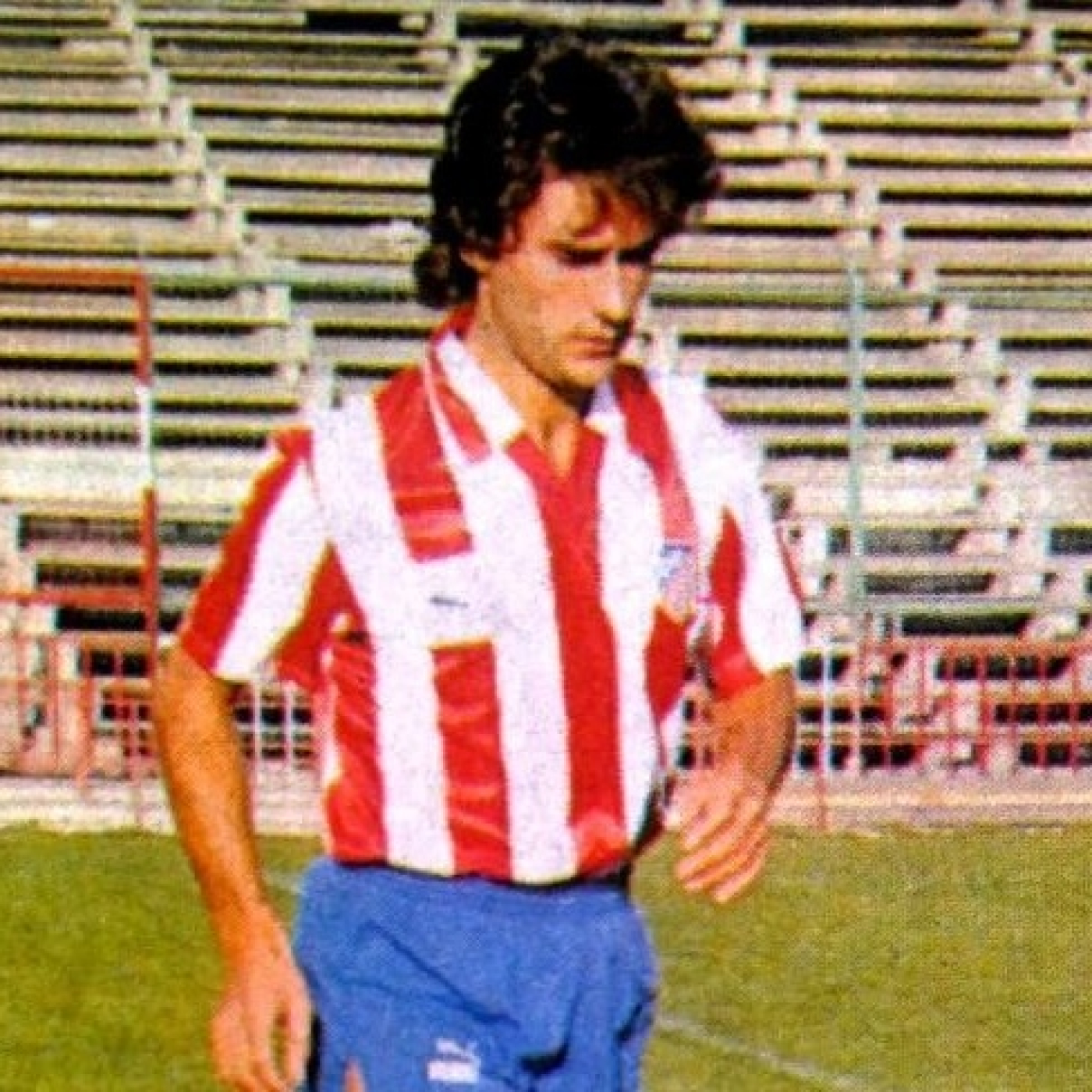 Corazón Txuri Urdin
