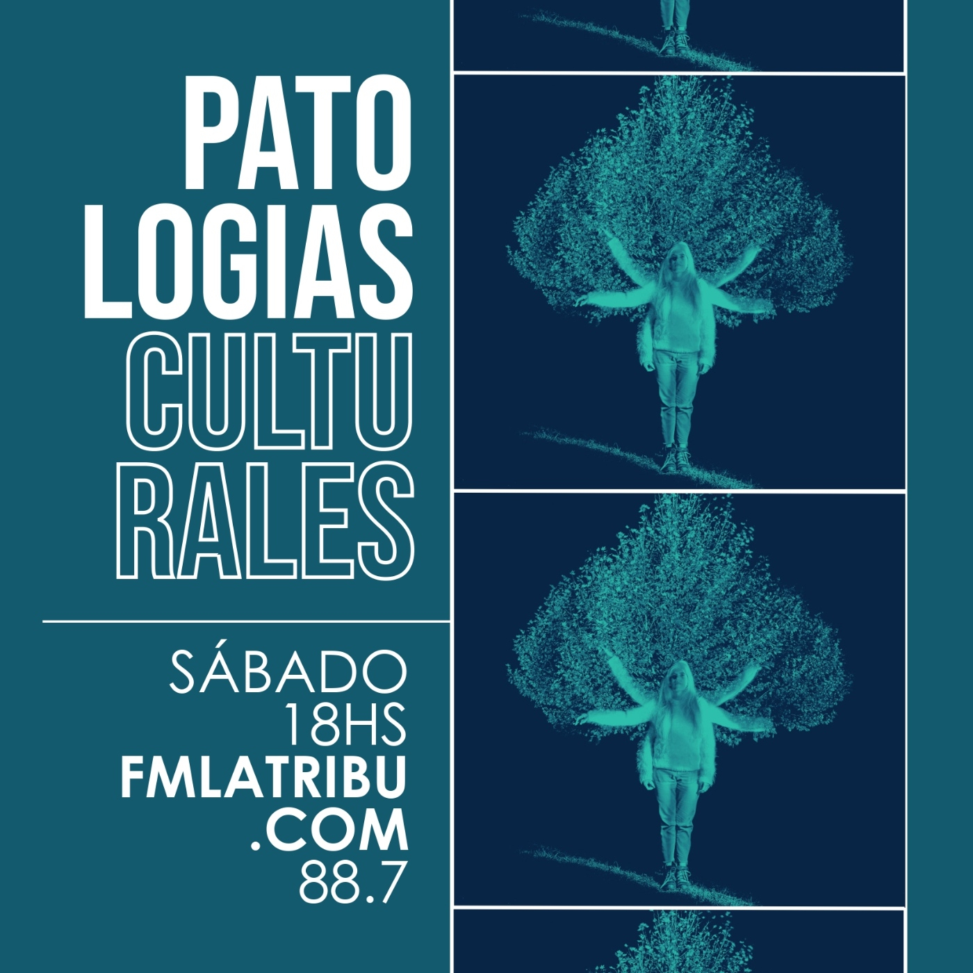 Patologías Culturales