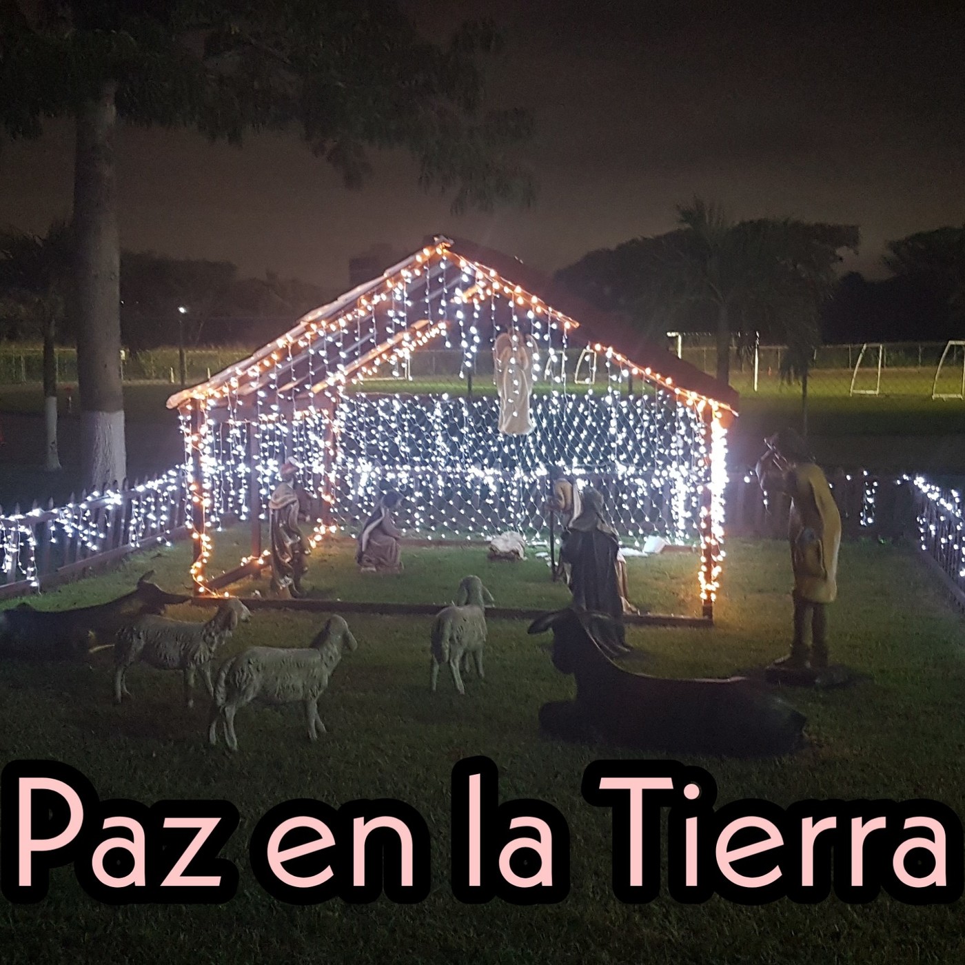 De todo un poco