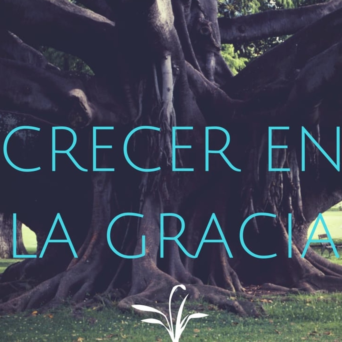 Crecer en la Gracia 12 100%Gracia 0%Ley - Pastor Kenneth Solá episode artwork